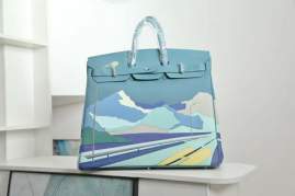 Picture of Hermes Handbags _SKUfw235423661fw